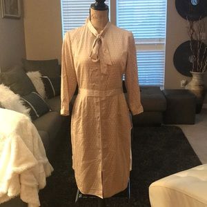 Brand New Banana Republic Dress